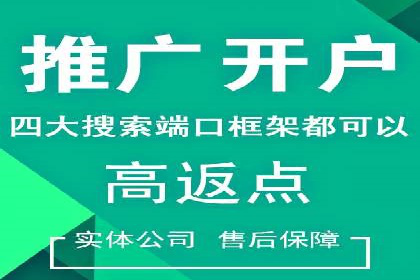 搜索引擎营销新纪元：SEM开户案例集锦